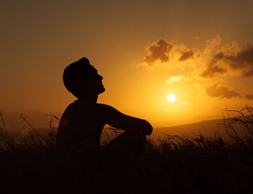 The Balanced Life: How to Keep your Heart Healthy